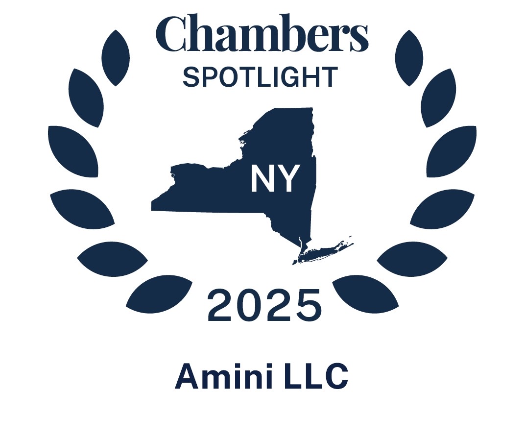 Chambers Spotlight 2025 New York - Amini LLC